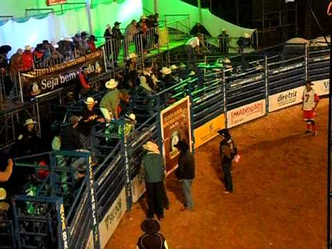 João antonio guedes vilela