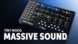 Moog Mavis Semi-modular Analog Synthesizer Kit Demo β Daniel Fisher