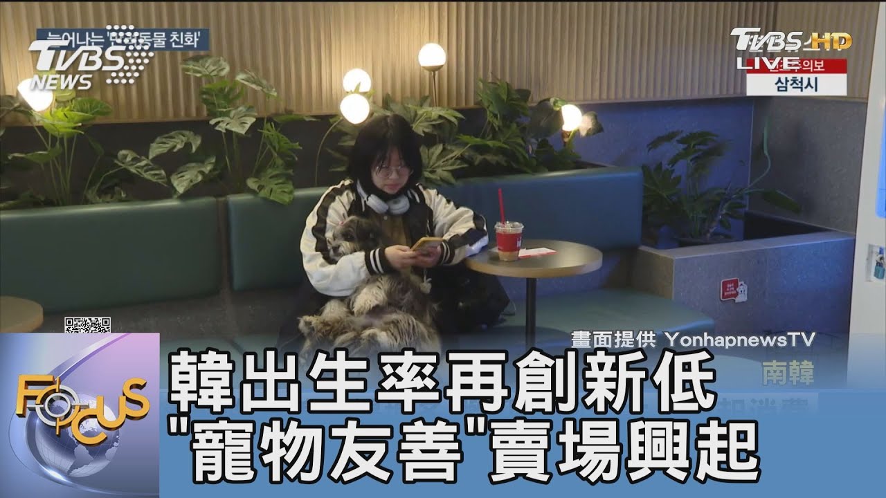 韓出生率再創新低 「寵物友善」賣場興起