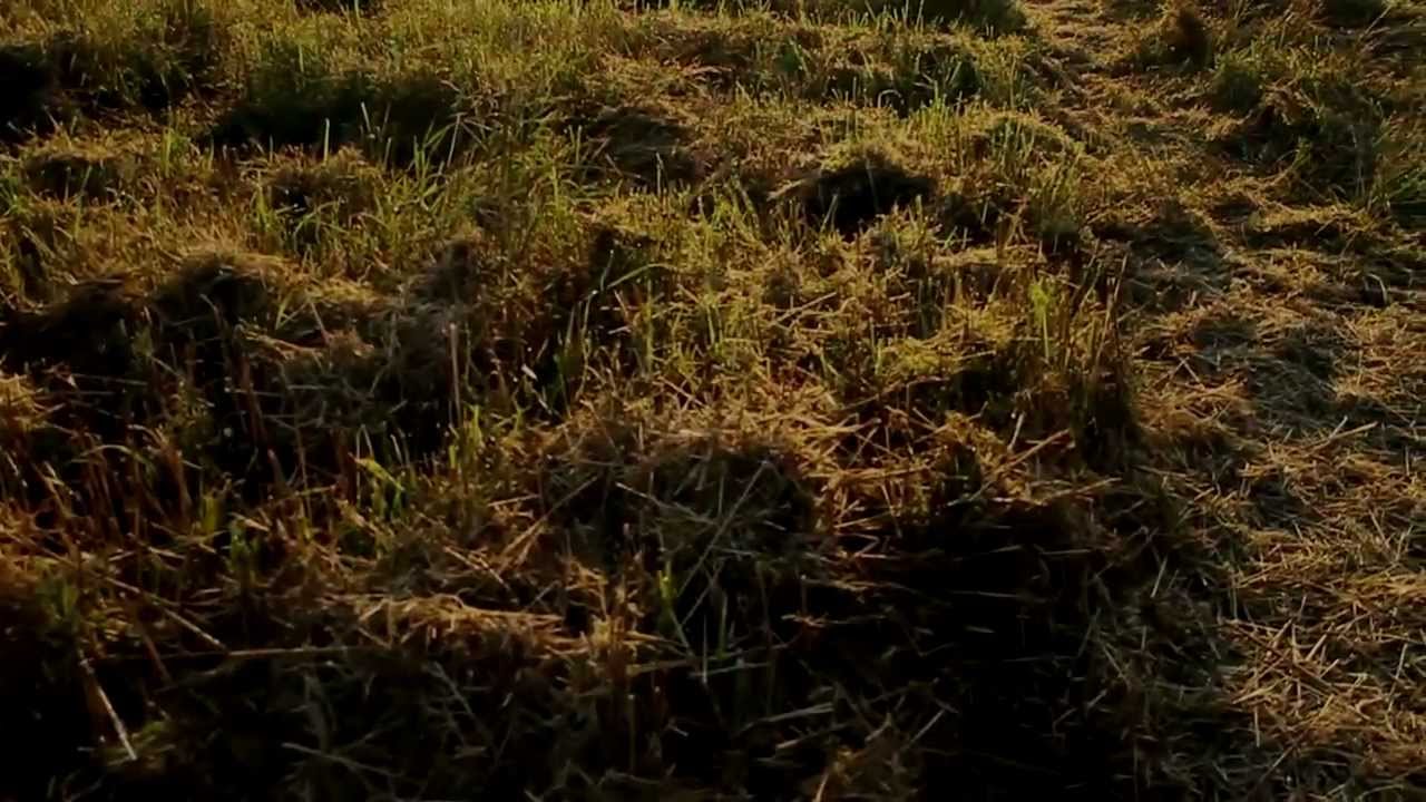 Ursula, the Art of Dying, full film