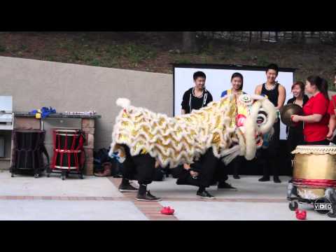 Sights & Sounds: UCLA student groups perform for Lunar New Year