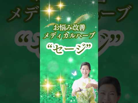医療ビジネス薬科学科 2024年12月28日