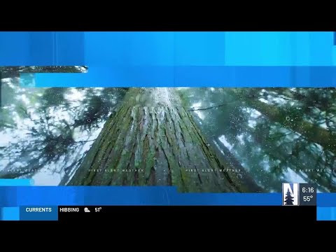 Northern News NOw Morning FOrecast