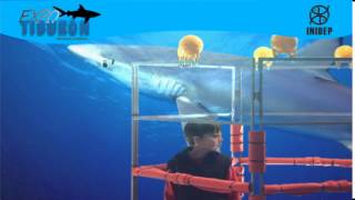 DIA 2 Expo Tiburon197