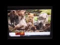 Lion King 2019 DisneyPedia Pride Land Pedia