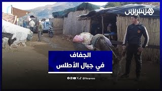 الجفاف يهدد الزراعة والمواشي في جبال الأطلس والسنة الساكنة نواحي بني ملال تلهج بالدعاء من أجل المطر thumbnail