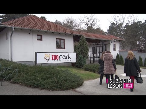 Suzanin izbor S02E60 – Zoo park Jagodina