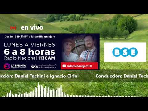 Hablamos con Erico Ferreira Productor de Salto ¿como viene la zafra y como sigue después?