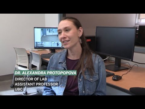 Got four legs and wagging tails? New UBC lab looks for participants