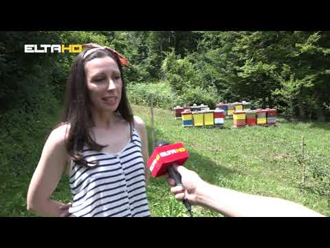 BL HRONIKA 29 06 21  - ZASTITA MRKOG MEDVJEDA