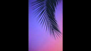 Jordan Solomon ~ Pardon