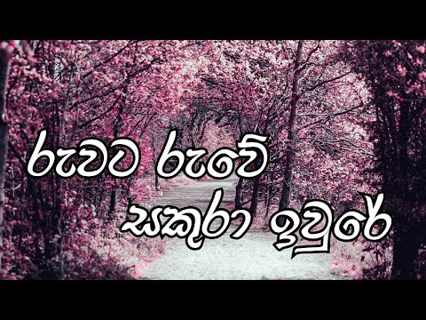 Ruwata Ruwe | රුවට රුවේ | TM Jayaratne Official