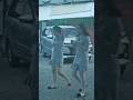 Jajan Dulu Lur Dptofficial Shorts Short Shortvideo Shortsviral Stw Geboy Trendingshorts