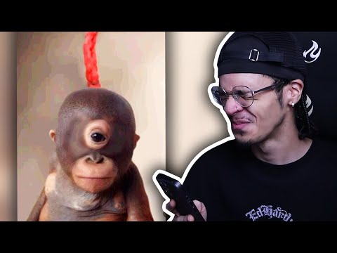 Can My Instagram FYP Make Me Laugh?... #25