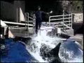 Это просто чудо)))).flv 