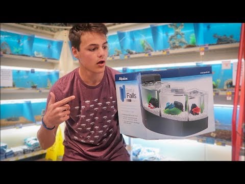 CRAZY TRIPLE OVERFLOW BETTA TANK SET UP! *BIG NEWS*