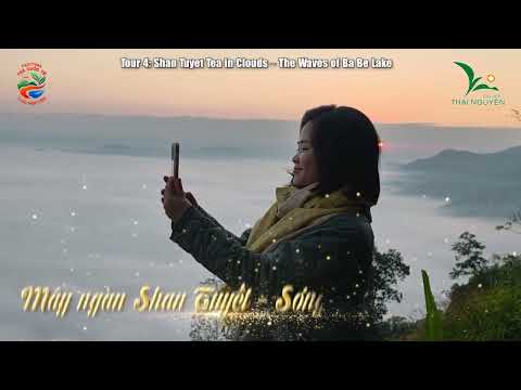 Video nổi bật Festival Trà