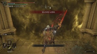 マレニア攻略(ビルド関係無し)簡単攻略　1周目SL120 ELDEN RING
