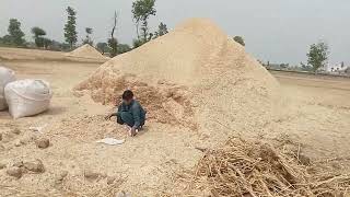 Thudi janvaron ke liye Kitni jaruri hai.thudi cows milk from.