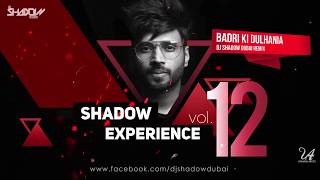 Shadow Experience Vol 12 | DJ Shadow Dubai | Nonstop Mixtape