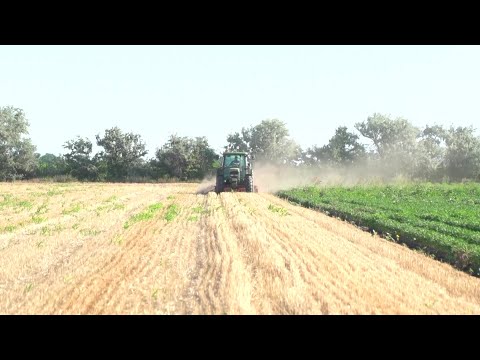 Pannon Gazda - 2022.07.15.