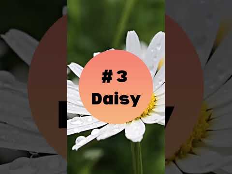10 Spring Flowers | Spring is Here | Spring Music for Children | #shorts #flowers #spring #viral