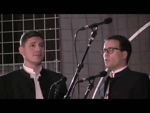 klapa Stine , Zagreb  :  Dobra večer vilo moja  //  Otvor vilo tu ponistru