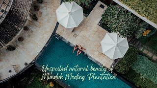 Unspoiled natural beauty of Munduk Moding Plantation