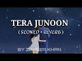 TERA JUNOON (SLOWED + REVERB) || TERA JUNOON SONG || SLOW AND REVERB TERA JUNOON