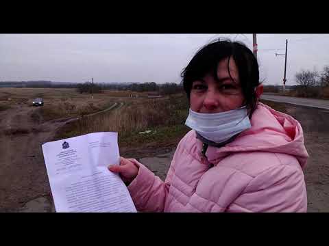 В Курской области бродячие собаки режут домашний скот