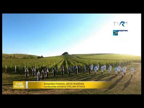 Ansamblul „Jidvei România”   La stâna din Alunel muzică și versuri Stelian Stoica