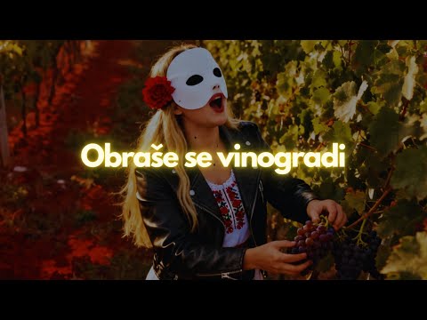 Čelična kafana - Obraše se vinogradi
