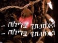   טוב להודות להשם - TOV LEHODOT LEHASHEM     