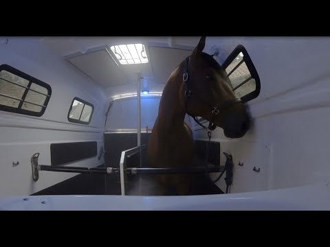 Pferdeinhalation by JSR GmbH