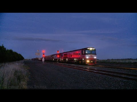 1MP9 SCT Freight Train At Night (20/7/2025) - PoathTV Australian Railways