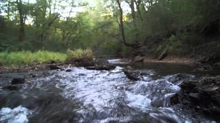 We March On by The Sun. The Moon.