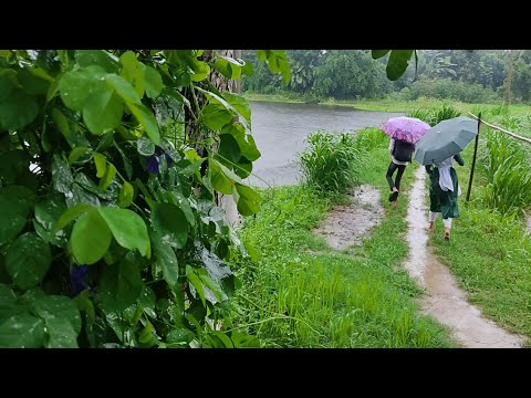 সকলকে শুভ বৃষ্টি সাথে সবজি খিচুড়ি ⛈️Life in wetland ⛈️village rainy day
