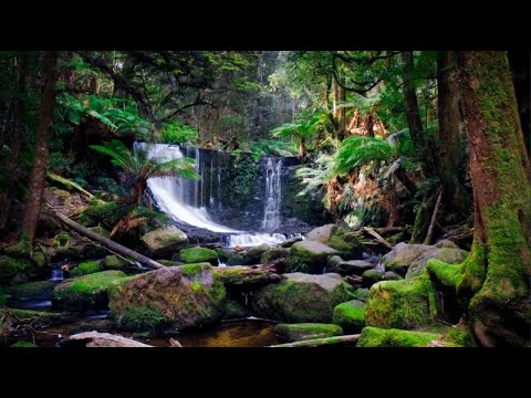 Tipurile de gânduri egotice - mesaj de la Cristos [F1cde]