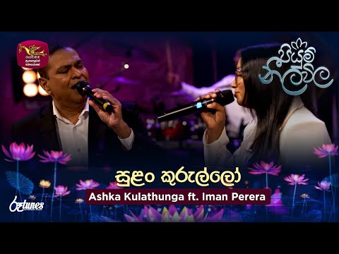 Sulan Kurullo | සුළං කුරුල්ලෝ | Ashka Kulathunga ft.Iman Perera | Piyum Neela Vila | Roo Tunes