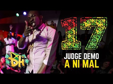 DHI EUROPE 2017 - ANIMAL - JUDGE DEMO