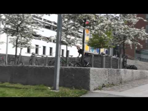 Jens Skeppstedt 2010 edit