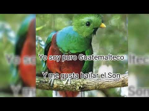 YO SOY PURO GUATEMALTECO. Letra