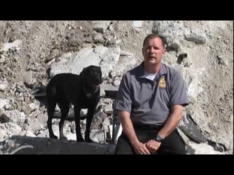 2013 IDC Eastern Regionals - Tampa Fire & Rescue K9 Team