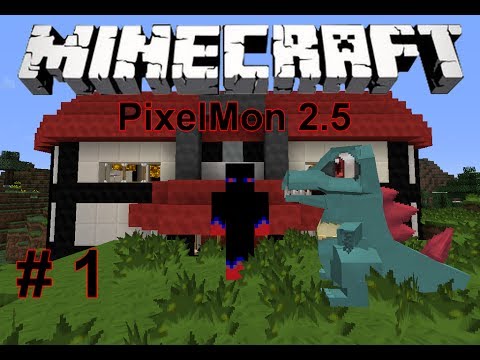 Pixelmon 2.5 -1- HUGE Totodile, Pixelmon Center