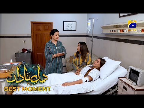 Dil-e-Nadan Episode 04 | 𝐁𝐞𝐬𝐭 𝐌𝐨𝐦𝐞𝐧𝐭 𝟎𝟐 | Mikaal Zulfiqar - Amar Khan - Ali Abbas | Har Pal Geo