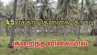 4.5 ஏக்கர் தென்னந்தோப்பு விற்பனை | குறைந்த விலையில் | #land #realestate #lowbudgetlandsale