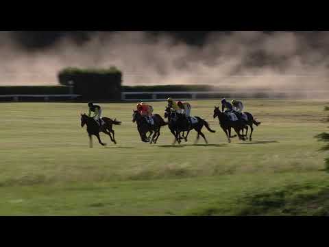 8. dostih - Cena za podpory Martina Beseho - dostihy Pardubice 8. 6. 2019