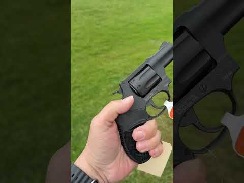 I Carry Preview: Taurus 817