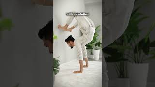 Download lagu How to do scorpion pose | vrishchikasan yoga. #health #yoga #yashyoga mp3 Download lagu How to do scorpion pose | vrishchikasan yoga. #health #yoga #yashyoga mp3