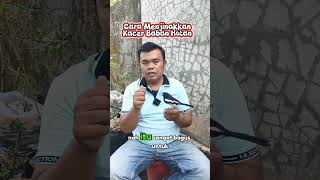 Download lagu Cara menjinakkan kacer bahan #kacer #kicaumania #birds mp3 Download lagu Cara menjinakkan kacer bahan #kacer #kicaumania #birds mp3